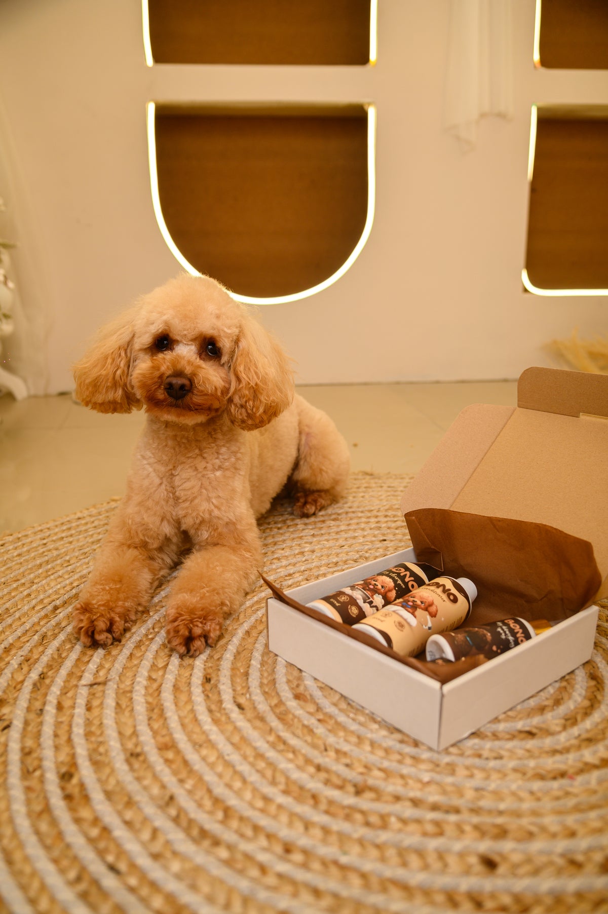 Vanilla - Salted caramel Box - 5 продукта