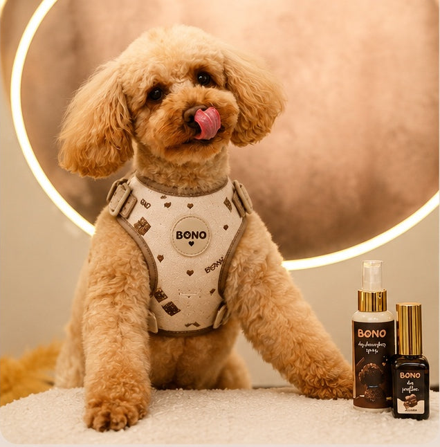 Signiture нагръдник Choco love